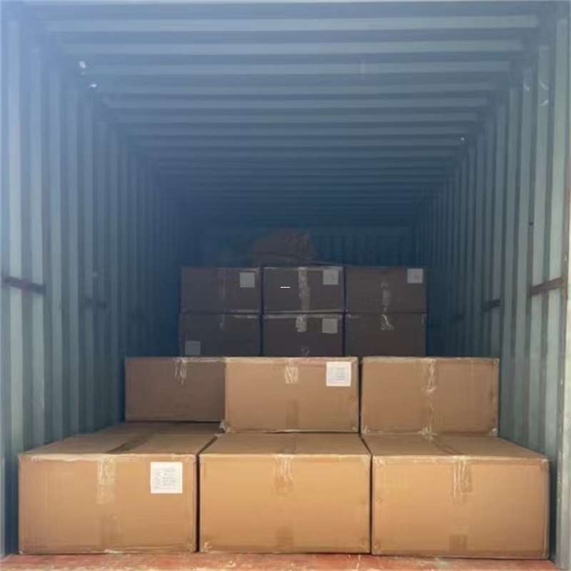 大同区探秘新抚区多元物流运输世界